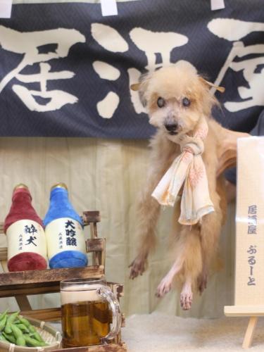 20240623モカくん